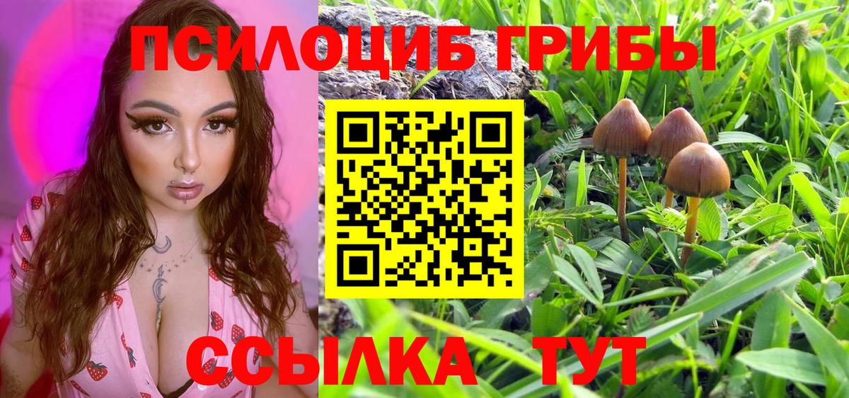 Галлюциногенные грибы ЛСД Энгельс