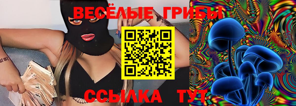 купить  сайты  Галлюциногенные грибы мухоморы  Вход с VPN  Галлюциногенные грибы GOLDEN TEACHER  Энгельс 